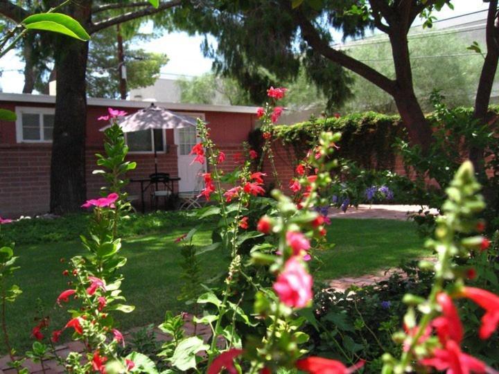 Mon Ami Bed And Breakfast Tucson Habitación foto